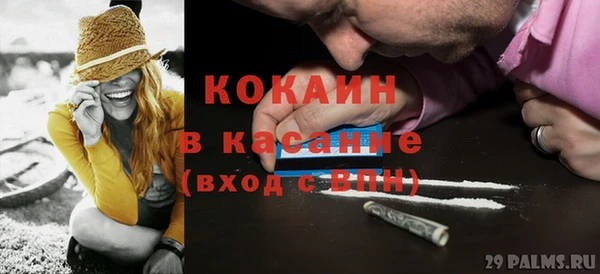 твердый Аркадак