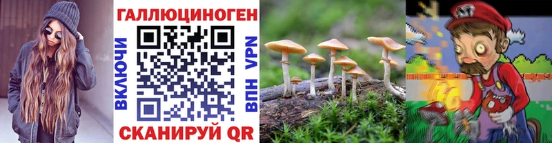 Псилоцибиновые грибы Psilocybine cubensis  kraken как войти  Снежногорск  даркнет сайт 